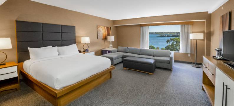 尼亚加拉瀑布希尔顿逸林酒店(DoubleTree by Hilton Niagara Falls)图片