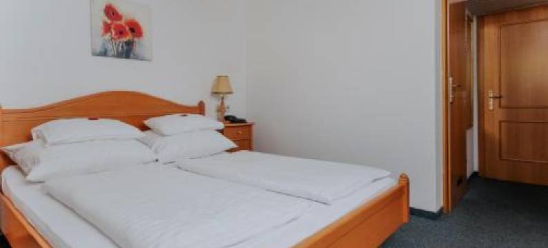 Hotel Friesacherhof图片