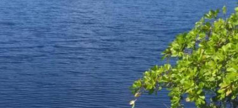 VOA Águas de Sauípe图片