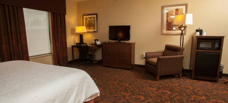 欢朋酒店-埃尔迈拉-霍斯黑兹(Hampton Inn Elmira/Horseheads)图片