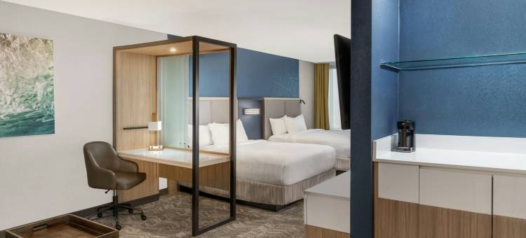 霍兰万豪SpringHill Suites酒店(SpringHill Suites Holland)图片