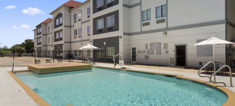 圣安东尼奥多米尼恩希尔顿斯帕克酒店(Spark by Hilton San Antonio Dominion)图片