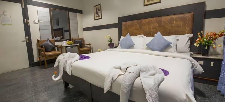 阿雅斯酒店(Hotel Aryaas)图片
