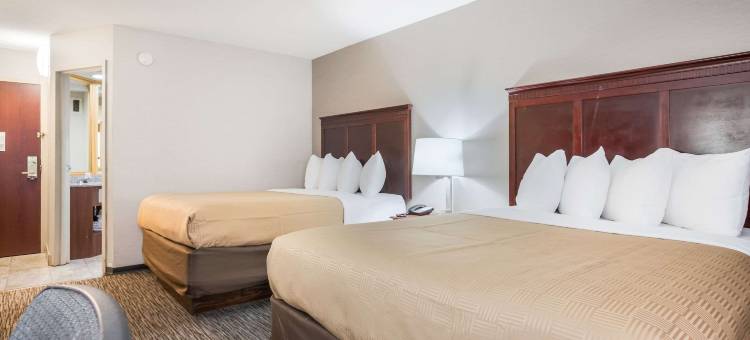 克拉丽奥酒店及套房-机场(Clarion Inn and Suites Airport)图片