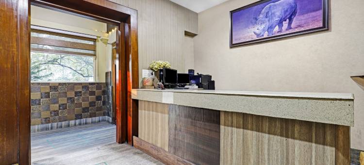 Treebo 阿波罗(Treebo Apollo)图片