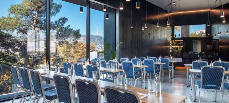 第比利斯金色郁金香设计酒店(Golden Tulip Design Tbilisi)图片