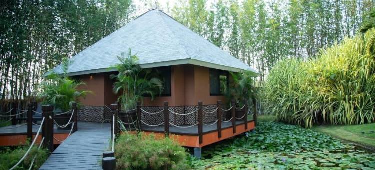 灵魂春天庇护所(Soul Spring Sanctuary Cuernavaca)图片