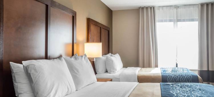 波因特舒适酒店(Comfort Inn the Pointe)图片