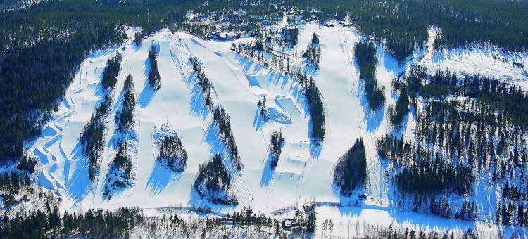 波里亚里斯别墅酒店(Villa Borealis)图片