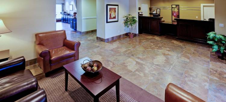 艾迪生 - 达拉斯美茵斯坦套房酒店(MainStay Suites Addison-Dallas)图片