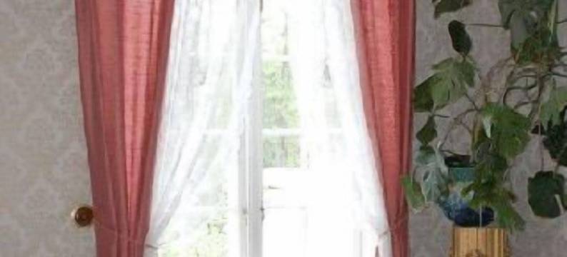 苏勒维垦斯家庭旅馆(Solvikens Pensionat)图片