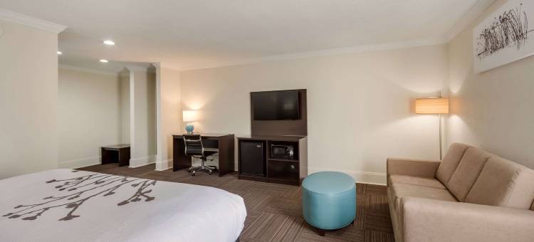 舒眠酒店及套房-尼斯维尔-德斯廷(Sleep Inn & Suites Niceville - Destin)图片