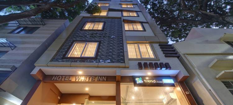 Treebo 白色旅馆(Treebo White Inn)图片