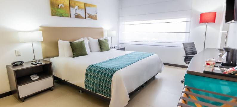 GHL风格巴兰卡维梅哈(Park Inn by Radisson Barrancabermeja)图片