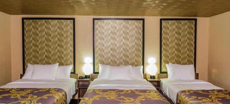 尼亚加拉时尚名品折扣店阿瑞雅汽车旅馆(Aarya Hotel by Niagara Fashion Outlets)图片