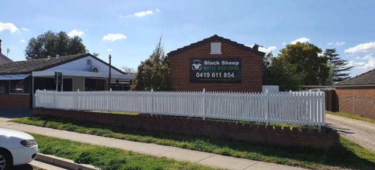 古尔本黑羊汽车旅馆(Black Sheep Motel Goulburn)图片