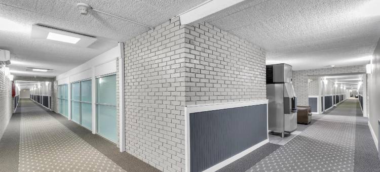 东湖套房(Eastlake Suites Hotel & Conference Center by OYO Urbana)图片
