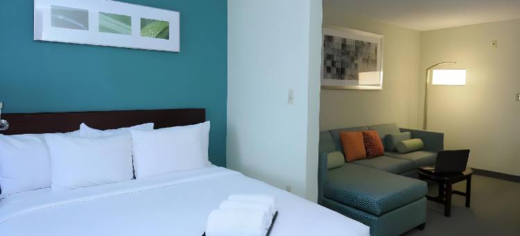 普罗维登斯西沃里克万豪SpringHill酒店(SpringHill Suites Providence West Warwick)图片