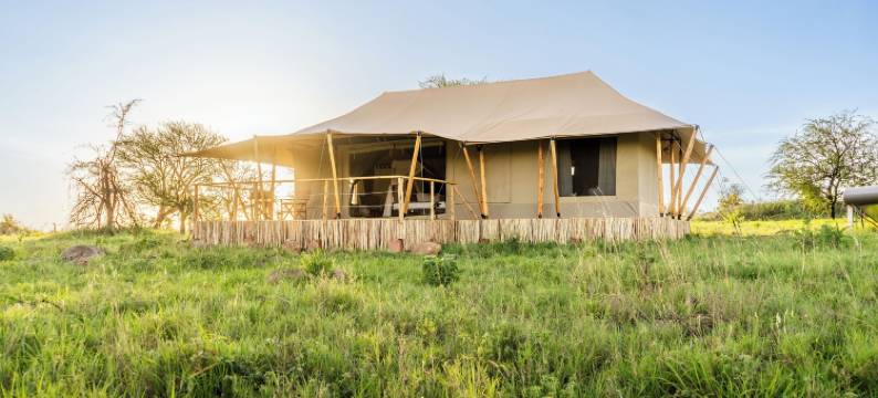 Malaika豪华营地 Seronera Serengeti(Malaika Luxury Camp Seronera Serengeti)图片