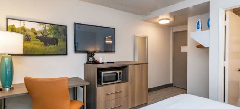 桥水酒店，温德姆Trademark精选(Bridgewater Hotel, Trademark Collection by Wyndham)图片