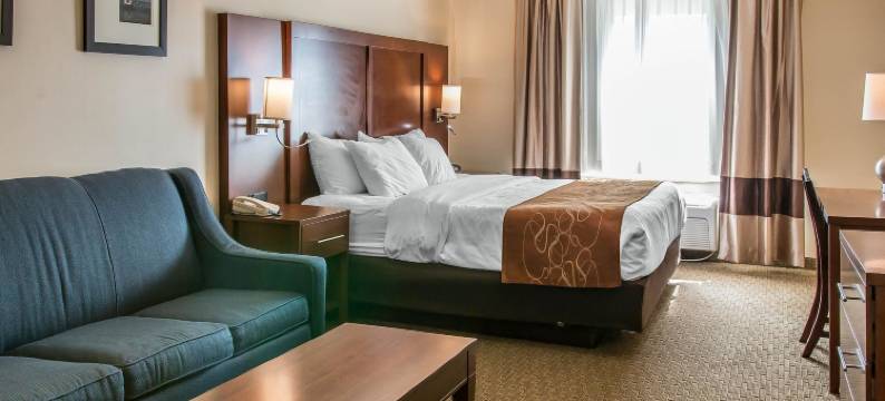 舒适套房酒店(Comfort Suites)图片