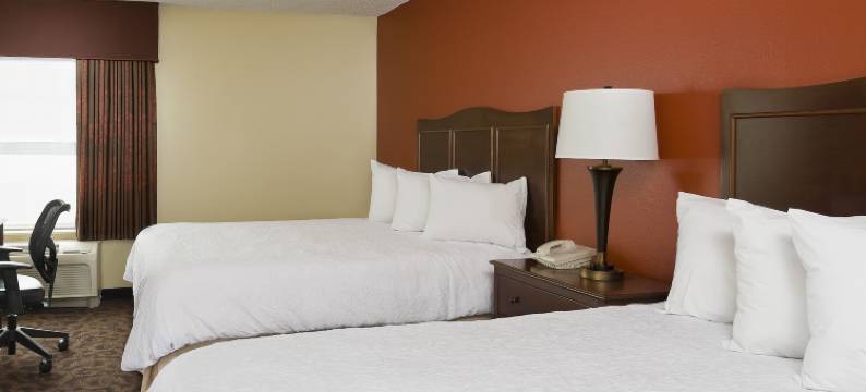 希尔顿欢朋酒店-圣安吉洛(Hampton Inn San Angelo)图片