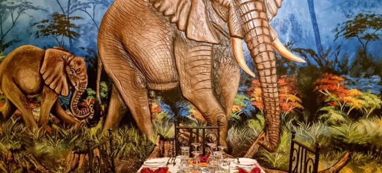 非洲萨法里阿鲁沙(Africa Safari Arusha)图片