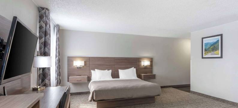 品质酒店(Quality Inn)图片