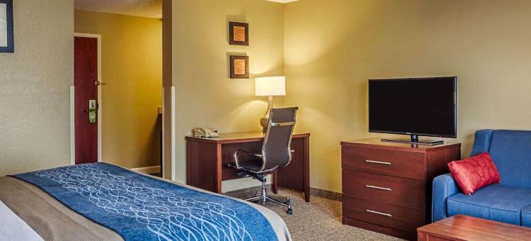 格拉夫顿锡达堡舒适套房酒店(Comfort Inn & Suites Grafton-Cedarburg)图片