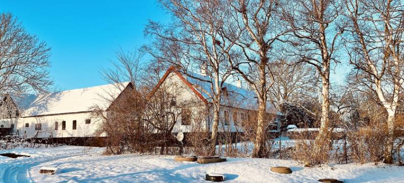 南海岸的Tullnäs葡萄园(Sydkustens at Tullnäs)图片