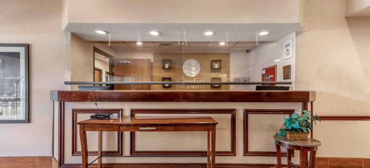 特斯柏罗-肯特舒适套房酒店(Comfort Inn & Suites Streetsboro - Kent)图片