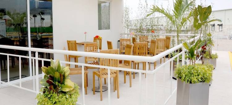 圣路易斯波托西使命快捷酒店(Hotel Misión Express San Luis Potosí)图片