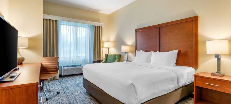 西德梅茵舒适套房酒店(Comfort Inn & Suites West des Moines)图片