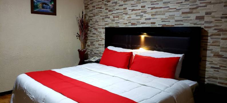 穆里略广场酒店(Hotel Murillo Plaza)图片