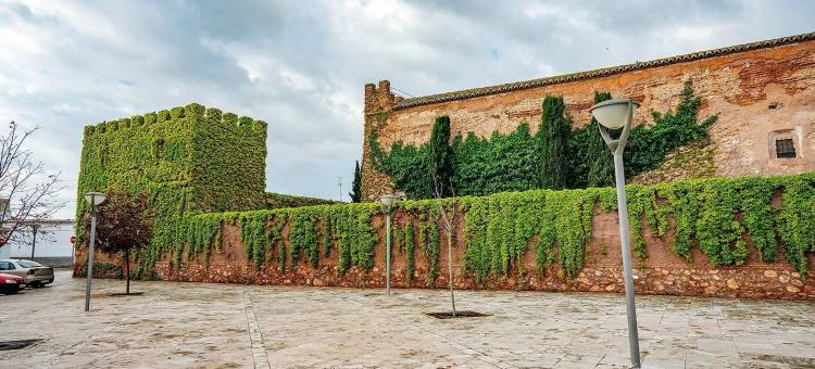 卡斯蒂略皮拉斯博纳斯酒店(Castillo de Pilas Bonas)图片