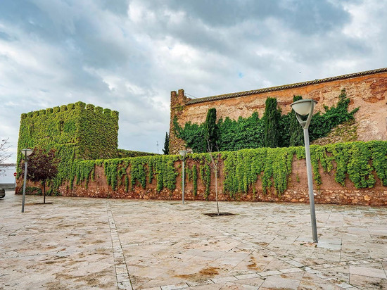 卡斯蒂略皮拉斯博纳斯酒店