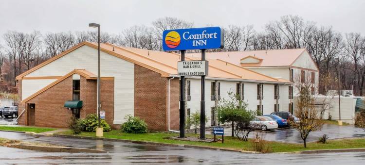 舒适酒店(Comfort Inn)图片