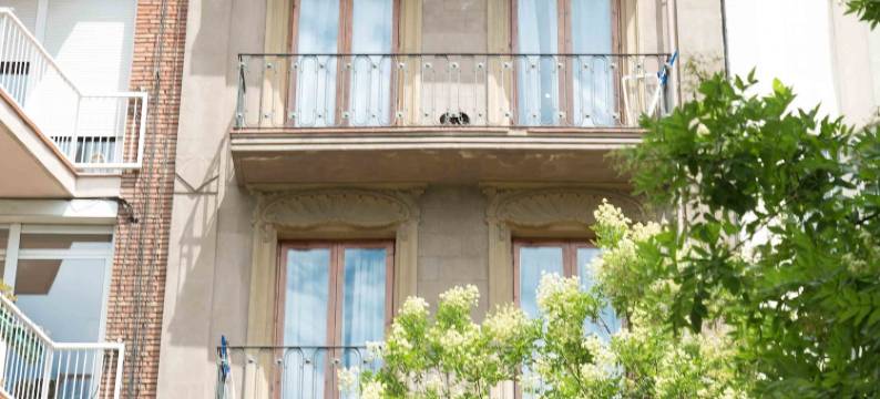 西班牙广场费莉帕家庭旅馆(Casa Felipa Plaza España)图片