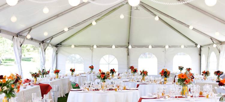 夏斯塔山度假酒店(Mount Shasta Resort)图片