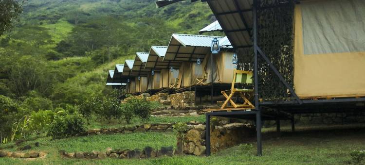 野生露营纳克尔斯(Wild Glamping Knuckles - Thema Collection)图片