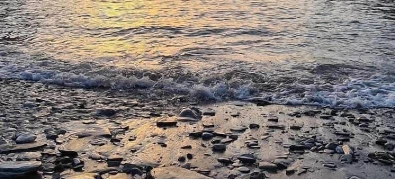 加弗恩港酒店(Port Gaverne Hotel)图片