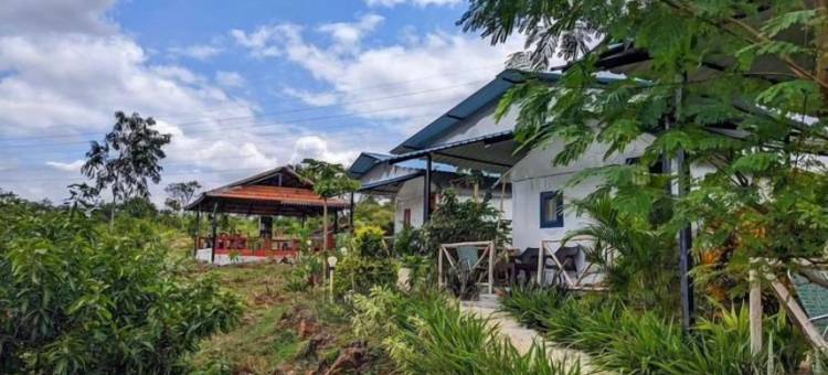 荒野丛林营地(Wilderness Jungle Camp)图片