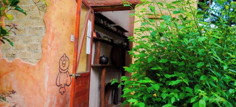 乔阿奇植物保护区(Reserva Botánica Choachí)图片