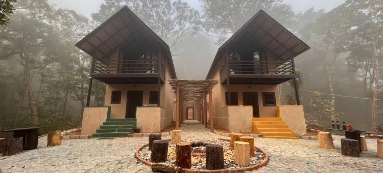 卡蒂卡杜(KaatiKaadu)图片