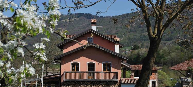 菲尼乐庭院酒店(Antico Fienile)图片