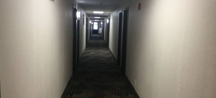 扬斯敦-奥斯汀城温德姆速8酒店(Super 8 by Wyndham Youngstown/Austintown)图片