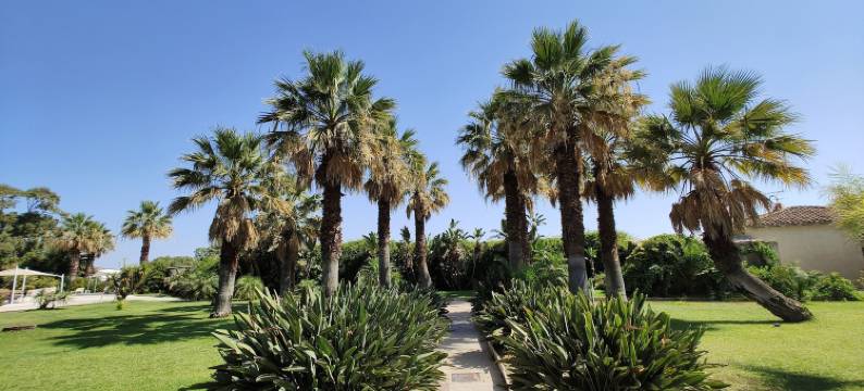 塔瑟斯酒店(Tartheshotel)图片