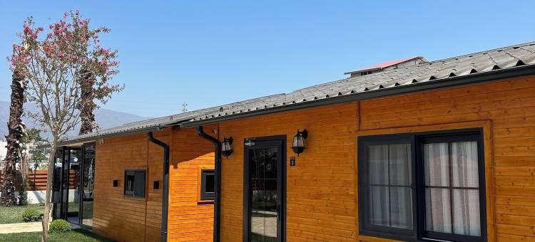 安塔基亚的一家酒店(Some Hotel Antakya)图片