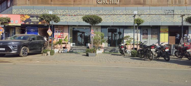 皇家兰花(The Royal Orchid)图片