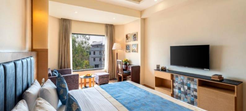 Golden Tulip Udaipur图片